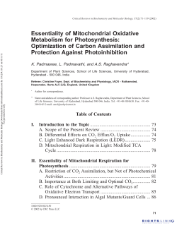 Essentiality of Mitochondrial Oxidative Metabolism for Photosynthesis
