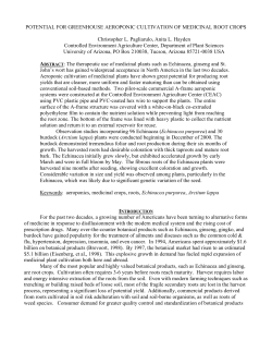 Potential for Greenhouse Aeroponic Cultivation of Medicinal Root