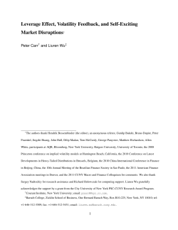 Leverage Effect, Volatility Feedback, and Self