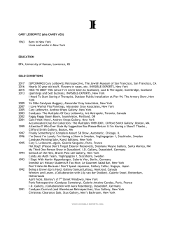 Curriculum Vitae - Invisible