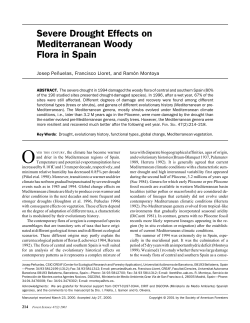Severe Drought Effects on Mediterranean Woody Flora in