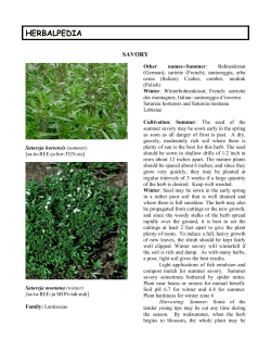 Summer Savory