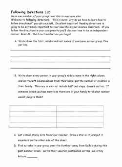 Following Directions Lab