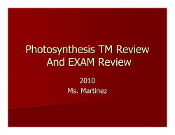 Photosynthesis TM Review And EXAM Review
