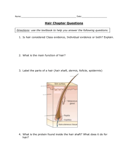 Hair Chapter Questions