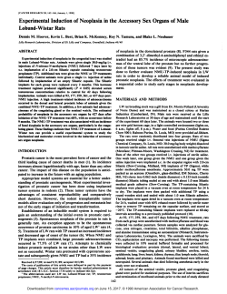 Experimental Induction of Neoplasia in the Accessory Sex Organs of