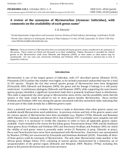 A review of the synonyms of Myrmarachne