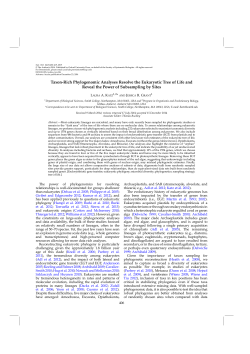 Taxon-Rich Phylogenomic Analyses Resolve the