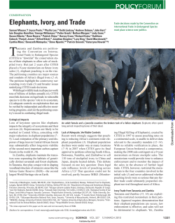 Elephants, Ivory, and Trade