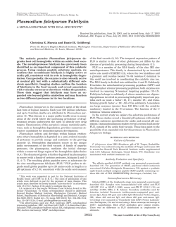 Plasmodium falciparum Falcilysin