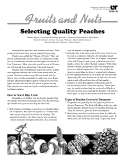 Fruits and Nuts - University of Tennessee Extension