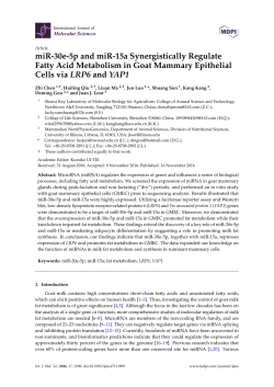 miR-30e-5p and miR-15a Synergistically Regulate Fatty Acid