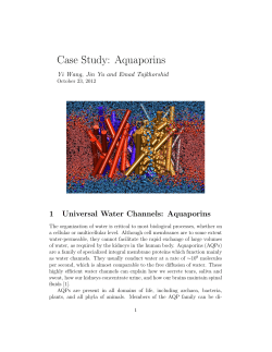 Case Study: Aquaporins
