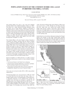 population status of the common murre uria aalge in british