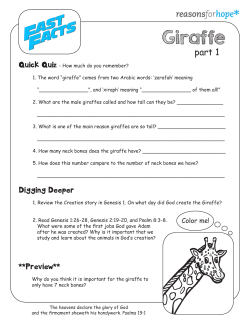 Giraffe