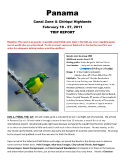 Panama - Cheepers! Birding on a Budget