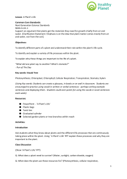 LessonPlan-APlantsLife