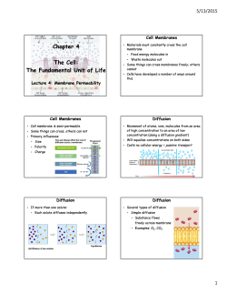 Chapter 4 The Cell: The Fundamental Unit of Life