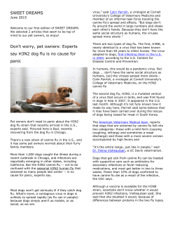 SWEET DREAMS Don`t worry, pet owners: Experts say H3N2 dog flu