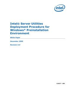 Intel&reg; Server Utilities Deployment Procedure for Windows