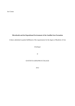 Joe Curran Microfossils and the Depositional Environment of the