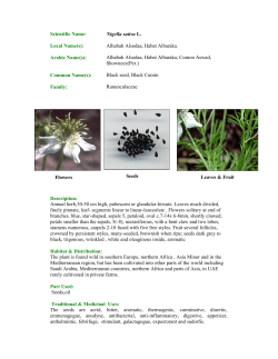 Scientific Name: Nigella sativa L