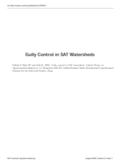 Gully Control in SAT Watersheds