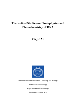 Theoretical Studies on Photophysics and Photochemistry of DNA