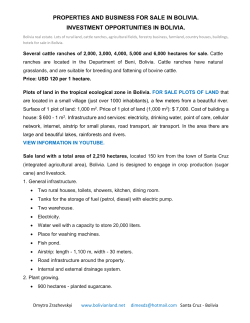 properties and business for sale in bolivia.