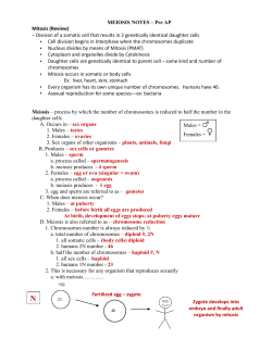 MEIOSIS NOTES &ndash; Pre AP Mitosis (Review) &ndash; Division of a somatic
