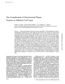 The Complement of Desmosomal Plaque Proteins in Different Cell