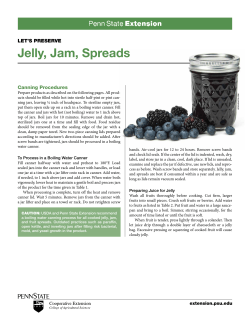 LET`S PRESERVE Jelly, Jam, Spreads