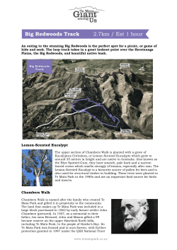 Big Redwoods Track &ndash; Points of Interest