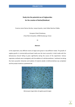 53-Study into the potential use of triglycerides for the creation of