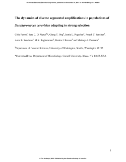 The dynamics of diverse segmental amplifications in populations of