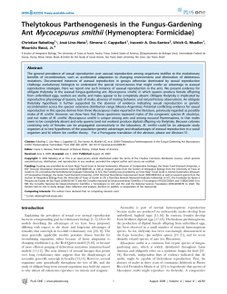 Thelytokous Parthenogenesis in the Fungus