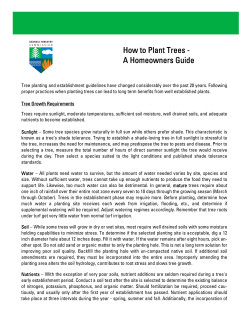 How to Plant Trees - A Homeowners Guide