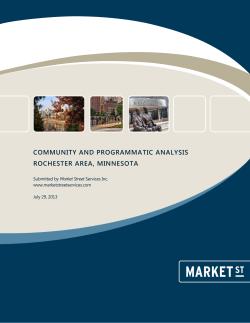 COMMUNITY AND PROGRAMMATIC ANALYSIS ROCHESTER