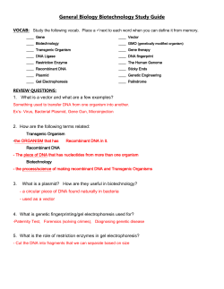 Biotech SG- Gen Bio KEY pdf