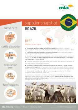 Brazil supplier snapshot
