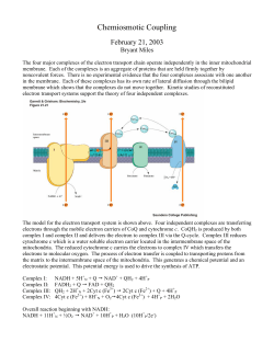 Chemiosmotic Coupling