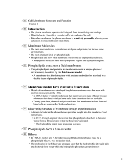Cell Membrane pdf
