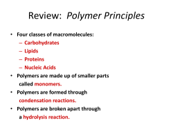 Monosaccharide notes