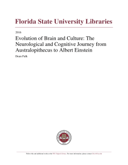 PDF - DigiNole! - Florida State University