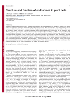 Structure and function of endosomes in plant cells