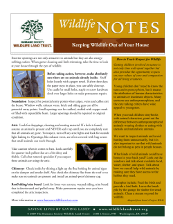 Keeping Wildlife Out of Your House