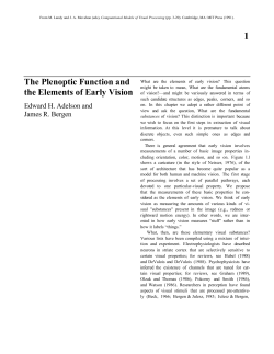 The Plenoptic Function and the Elements of Early Vision