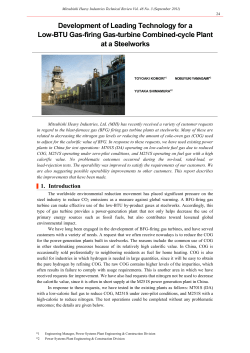 Development of the Leading Technology of Low BTU Gas Firing Gas