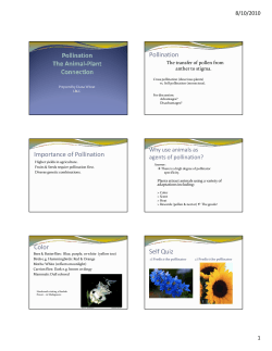 Pollination Importance of Pollination Color Self Quiz
