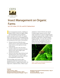 Insect Management on Organic Farms - NOFA-NJ